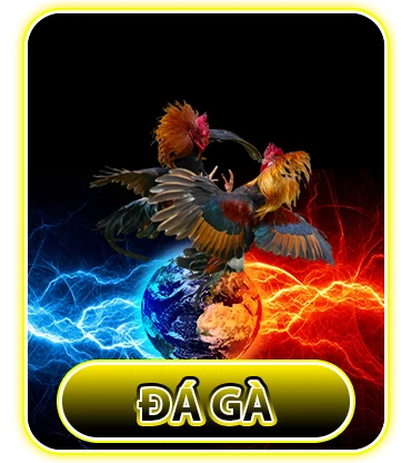 đá gà